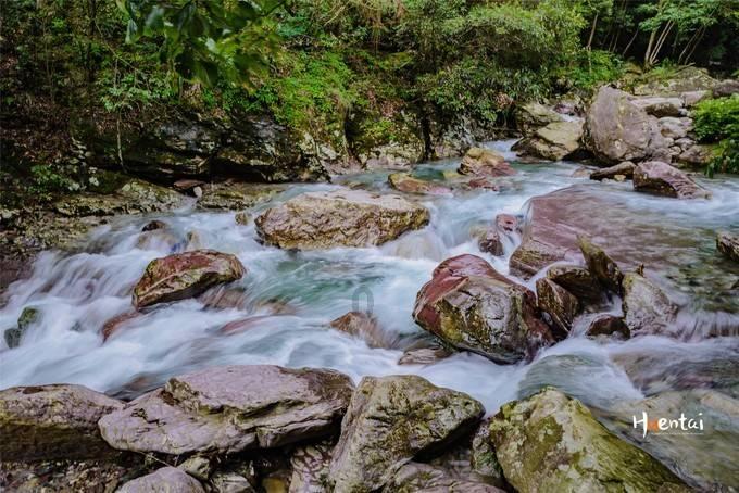 葡萄牙裔归化球员重返山东泰山：战斗力补充还是定时炸弹？